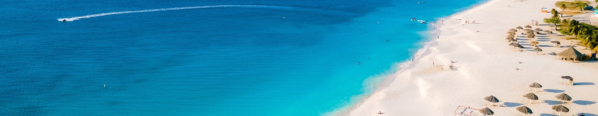 New York, Walt Disney World Orlando und Aruba