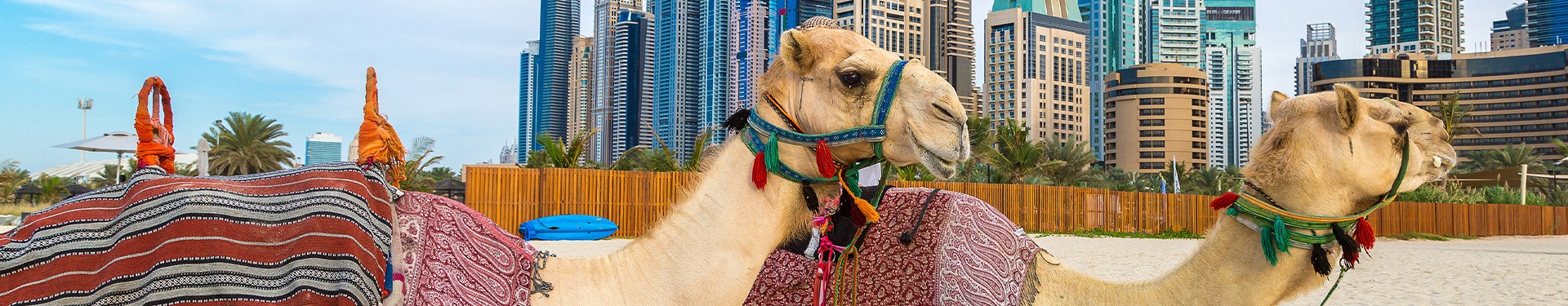 Route durch die Vier Arabische Emirate