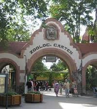 Zoo 