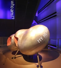 Museo Gallileo