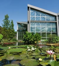 Botanischer Garten