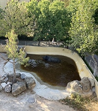 Zoologischer Garten