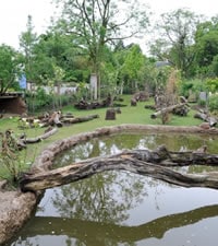 Zoo Zurich