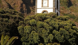 Boutique Hotel San Roque -  Adults Only