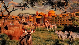 Disney's Animal Kingdom Lodge