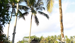 Viceroy Bali