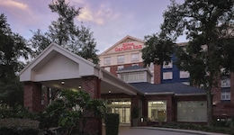 Hilton Garden Inn Tampa East Brandon