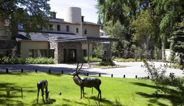 El Casco Art Hotel