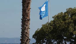 Kassandra Palace Seaside Resort