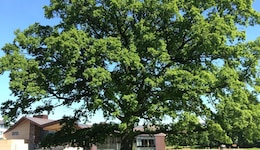Glostrup Park Hotel