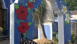 Hotel Casa De Las Flores