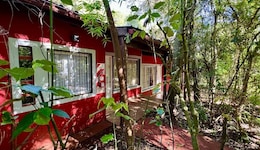 Rainforest Hotel & Cabañas