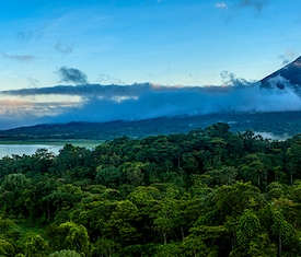 Die meistgesuchten Kreuzfahrten um Costa Rica zu besuchen