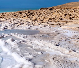 Die meistgesuchten Kreuzfahrten um Jordanien zu besuchen