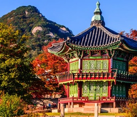 Die meistgesuchten Kreuzfahrten um Südkorea zu besuchen