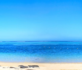 Die meistgesuchten Kreuzfahrten um Mauritius zu besuchen