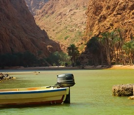 Die meistgesuchten Kreuzfahrten um Oman zu besuchen