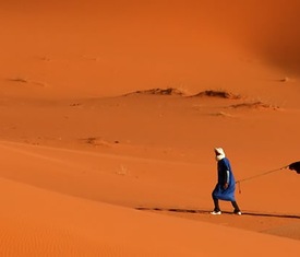 Die meistgesuchten Kreuzfahrten um Tunesien zu besuchen
