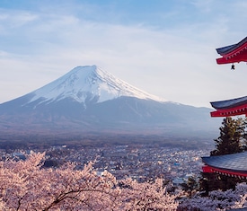 Die meistgesuchten Kreuzfahrten um Japan zu besuchen