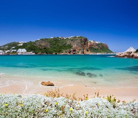 Alle Kreuzfahrten nach Mossel Bay (Südafrika)