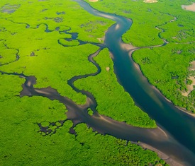 Alle Kreuzfahrten nach Amazonas