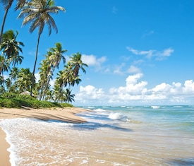 Alle Kreuzfahrten nach Salvador (Brasilien)