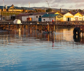 Alle Kreuzfahrten nach Punta Arenas (Chile)