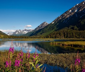 Alle Kreuzfahrten nach Valdez (Alaska)