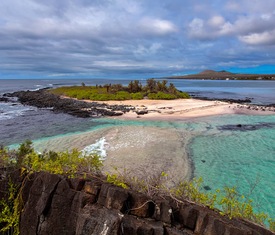 Alle Kreuzfahrten nach Bahía Elizabeth (Isla Isabela, Galápagos)