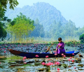 Alle Kreuzfahrten nach Hanoi (Vietnam)