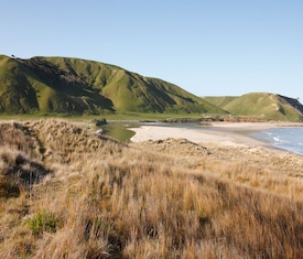 Alle Kreuzfahrten nach Gisborne (Neuseeland)