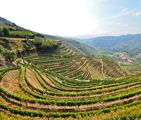 Alle Kreuzfahrten nach Regua (Portugal)