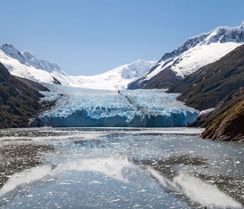 Alle Kreuzfahrten nach Pio XI Gletscher 
