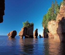Alle Kreuzfahrten nach Saint John NB (Canada)
