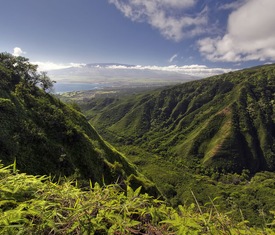 Alle Kreuzfahrten nach Kahului