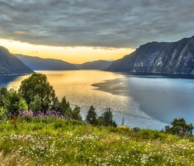 Alle Kreuzfahrten nach Storfjord (Noruega)