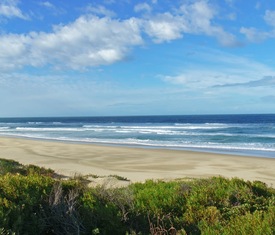 Alle Kreuzfahrten nach Richards Bay (Südafrika)