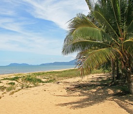 Alle Kreuzfahrten nach Yorkeys Knob (Queensland, Australien)