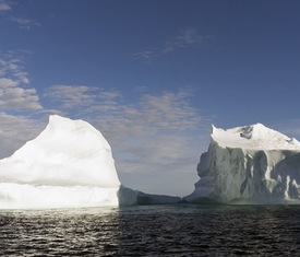 Alle Kreuzfahrten nach Lower Savage Islands (Canadá)