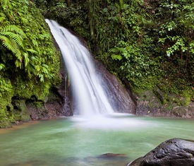 Alle Kreuzfahrten ab Guadeloupe (Antillen)