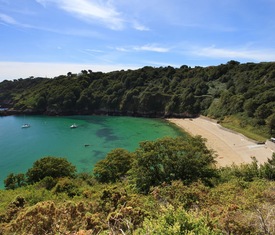 Alle Kreuzfahrten nach Guernsey (St. Peter Port)