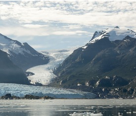 Alle Kreuzfahrten nach Amalia Gletscher (Chile)