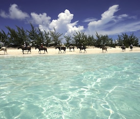 Alle Kreuzfahrten nach Half Moon Cay (Bahamas)