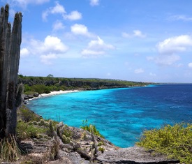 Alle Kreuzfahrten nach Kralendijk (Bonaire)