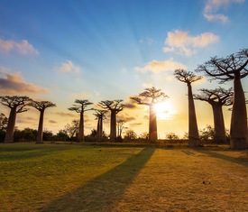 Kreuzfahrten Angebote Trans- Afrika