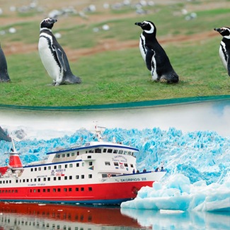 Pinguine und Gletscher