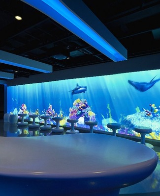 Foto Norwegian Joy 11