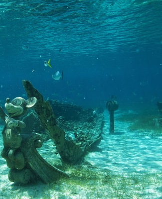 Foto Disney Cruise Line 7