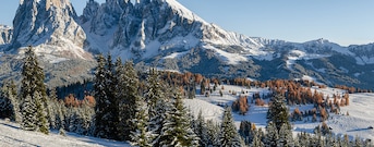 Seiser Alm