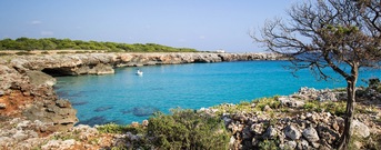 Cala En Bosch